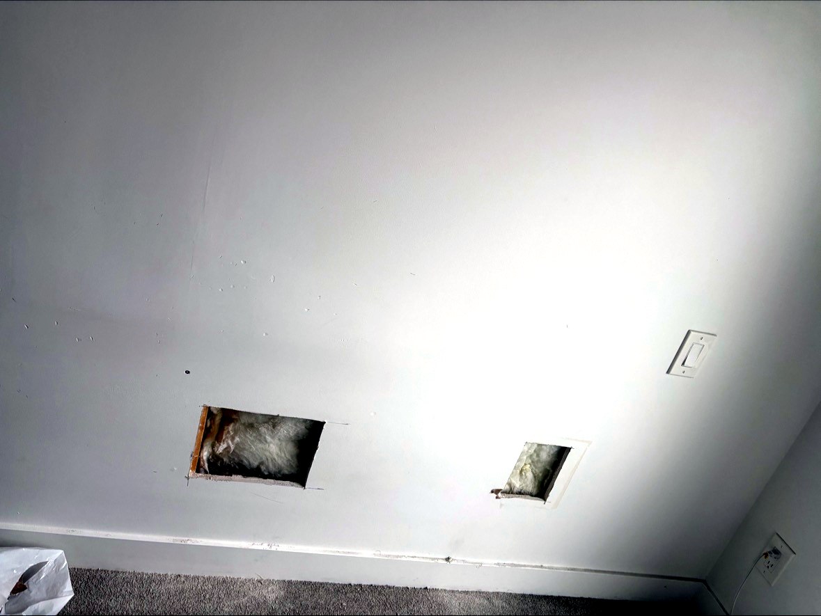 Damaged drywall cut into clean rectangular openings for repair